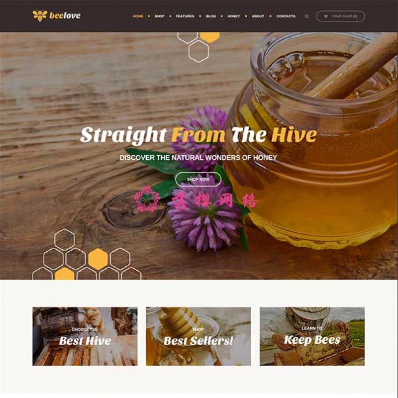 Beelove 蜂蜜养殖在线商城WordPress企业主题